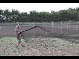 Pen Construction The Netting - Youtube