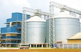 To cure (a disease etc.). Tarok Malay Meaning Vietnam Breaking News