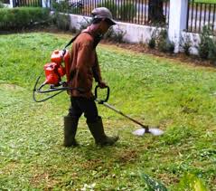 Temukan di bawah ini daftar iklan mesin potong rumput bekas pakai dari sektor peralatan pertamanan dan perkebunan. Daftar Harga Mesin Pemotong Rumput Murah Terbaru Bulan Februari 2018 Daftar Harga Mesin Lengkap Terbaru 2018