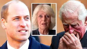 Controversy surrounding Camilla and the royal family