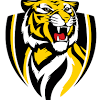 Membership history of the richmond football club. Https Encrypted Tbn0 Gstatic Com Images Q Tbn And9gcqfie6ofe Qekfwqhykl6nvtiw A Uqosd4yjums2y Usqp Cau