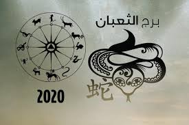 ما الذي يحمله العام 2020 لبرج الأفعى بحسب الابراج الصينية مجلة الجميلة