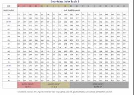 Body Mass Index Student Nurse Laura