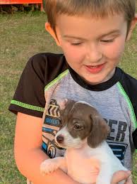 TECHEAD Spotlights Archives