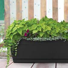 Black resin window boxes & troughs (3) model# 78377. Dynamic Design Newbury 7 86 In X 35 75 In Black Resin Window Box With Saucer Nw3612bk The Home Depot