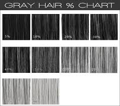 Gray Hair Wig Color Chart Gracelacewigs In 2019 Grey