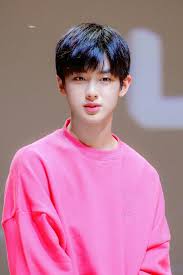 Pin Oleh Asian Male Who Has Best Visual Di Kim Minkyu Selebritas Pacar Pria Kim