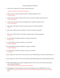 Track the cell cycle in the cancer cell cam. Cell Cycle Student Worksheet Answer Key Https Cpb Us E1 Wpmucdn Com Cobblearning Net Dist 3 4046 Files 2017 07 14 Mitosis Interactive Notebook Mitosis Shutter Fold Excludes Prometaphase 25oepdt Pdf