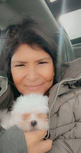 New owner of a 15-week-old Shichon puppy