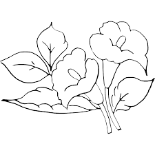 Error De La Base De Datos Dibujos De Flores Disenos De Vitrales Dibujos En este post te damos. dibujos de flores