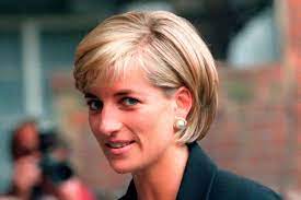 D'autres images graphiques de la scène montrent au voila une bonne nouvelle ils ont enfin mangé le sable ces criminels ! Exclusif Les Mysteres De La Mort De Diana Enfin Reveles