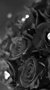 Flower With Diamond Dark Bw Love Propose Iphone 6 Wallpaper Download Iphone Wallpapers Ip Black Roses Wallpaper Amazing Hd Wallpapers Wallpaper Iphone Roses