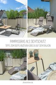 Pampasgras Als Sichtschutz In 2020 Pampasgras Outdoor Dekorationen Terrassengestaltung