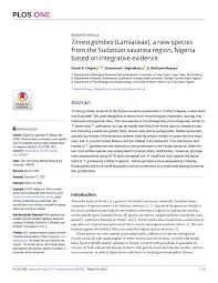 Image result for Tinnea rhodesiana