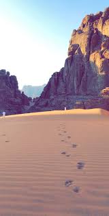 tabuk saudi arabia deserts