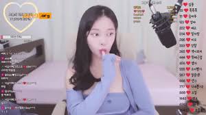 BJ꽃사슴 팬방[스타킹찢스방] korean bj - JavRank