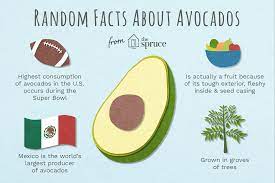 We did not find results for: Avocado Varieties And Facts
