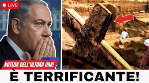 Avery Perfume Gallery Modena