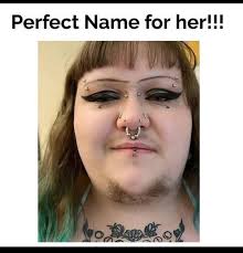 Pet friendly rentals in Tennessee available