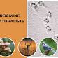 Roaming Naturalists: Springing Back to Life event image