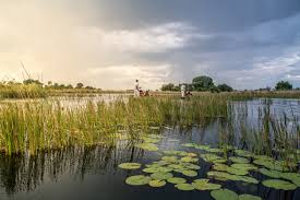 Maybe you would like to learn more about one of these? Okavango Delta Botswana S Most Extraordinary Natural Wonder