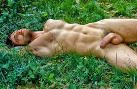 Nude men forest - 79 photo