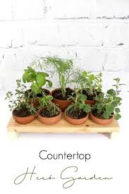 How To Build Your Own Indoor Herb Garden Love Create Celebrate Indoor Herb Garden Herbs Indoors Outdoor Herb Garden