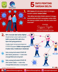 Mereka umumnya tinggal di daerah perkotaan. Gywe5drhmqmnbm