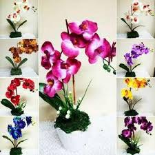 We did not find results for: Pokok Hiasan Home Furniture Carousell Malaysia