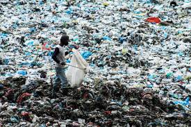 Image result for plastic in ocean