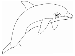 Sketsa mewarnai gambar lumba lumba keren. Mewarnai Gambar Ikan Lumba Lumba Dolphin Alamendah S Blog Laman 3