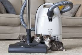 12 Best Vacuum For Pet Hair 2020 Canister Cordless Robot Miniwick Best Pet Hair Vacuum Pet Hair Vacuum Canister Vacuum Cleaner