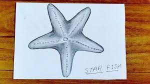 Jun 09, 2021 · aside from the little yellow guy in the show's theme song, arguably the most important character is his best friend, patrick star. Pencil Sketch How To Draw Starfish Star Fish Drawing With Pencil Youtube