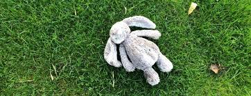 Maybe you would like to learn more about one of these? Perte Ou Vol De Documents Objets Trouves