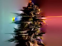 Why Ive Never Mixed Weed With Virtual Reality | WIRED