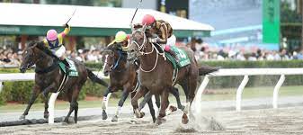 Check spelling or type a new query. ã‚¨ãƒ«ãƒ ã‚¹ãƒ†ãƒ¼ã‚¯ã‚¹2020ã‚³ãƒ¼ã‚¹è§£èª¬ æœ­å¹Œç«¶é¦¬å ´ãƒ€ãƒ¼ãƒˆ1700m 3é€£å˜6ç‚¹å‹è²  ç«¶é¦¬ã§å¤¢ã‚'å¶ãˆã‚‹ 3é€£å˜ç«¶é¦¬äºˆæƒ³ã«å½¹ç«‹ã¤æƒ…å ±ãŒæº€è¼‰ã§ã™