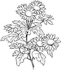 Here's a colouring page of a flower in a flower pot. Flower Coloring Pages For Adults Best Coloring Pages For Kids