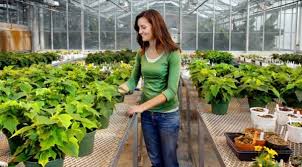 Careers In Horticulture Horticulture Agriculture Jobs Garden Landscaping