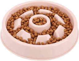 Check spelling or type a new query. Pin On Cat Cafe2