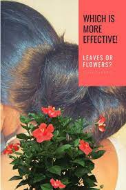 Pin On Stopping Hair Loss