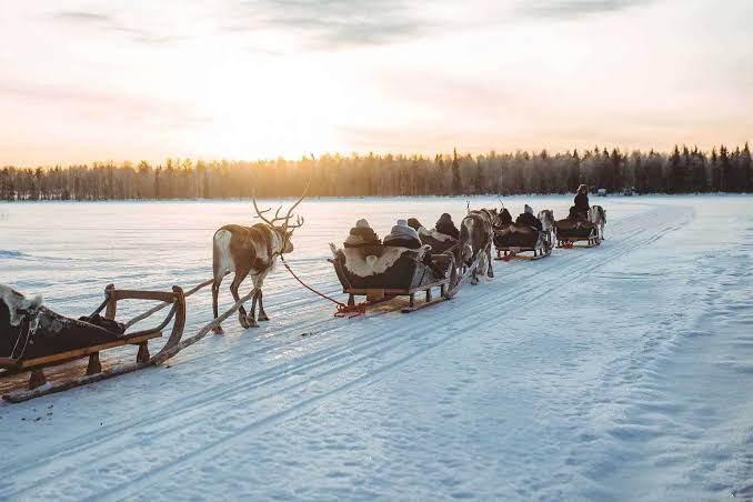  Finland Arctic Family Adventure — photo 3