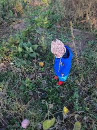 Tipps Fur Garten Mit Baby Und Kind So Bewaltigst Du Es