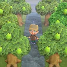 They can be eaten in all games and are sometimes requested by villagers. Animal Crossing New Horizons Fans Form Pear Gang To Fight Fruit Hatred Polygon
