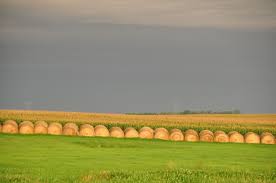 Sell Land Fast South Dakota - We Buy Land South Dakota