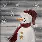 *EARLY BIRD SPECIAL!* Friendly Snowman event in Longview, TX
