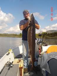 Holcombe Flowage, Wisconsin