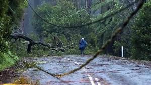 The damage bill from melbourne's freak storm continues to rise, with au$256 million ($nz$322m) in insurance claims lodged so far. Melbourne Weather Man Dies In Floodwaters As Victoria Begins Storm Clean Up Herald Sun