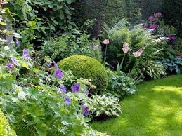 Always Repin Garden Inspiration Cottage Garden Plants