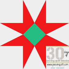 How To Pineapple Star Quilt Block 30 Days Of Sewing Quilt Blocks Star Quilt Blocks Quilt Block Tutorial Christmas Quilt Patterns