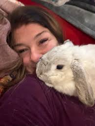 I need to find a GOOD home for Houdini she is a 4 yr old spayed Holland  Lop. She is litter box trained in door bunny. My Mother has been diagnosed  with